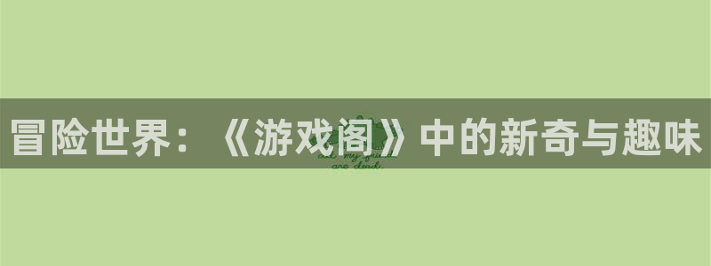  冒险世界：《游戏阁》中的新奇与趣味