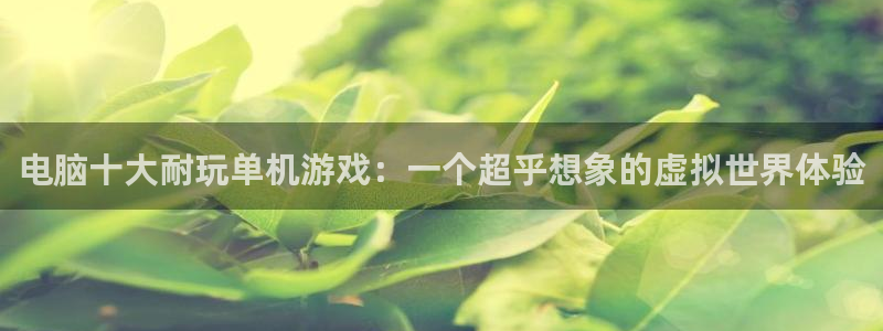 电脑十大耐玩单机游戏：一个超乎想象的虚拟世界体验