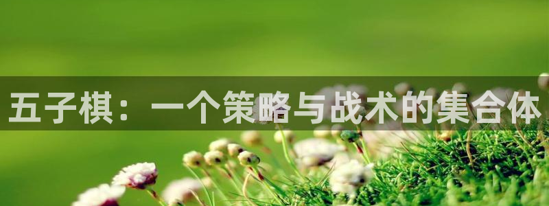  完美电竞登不上去：五子棋：一个策略与战术的集合体