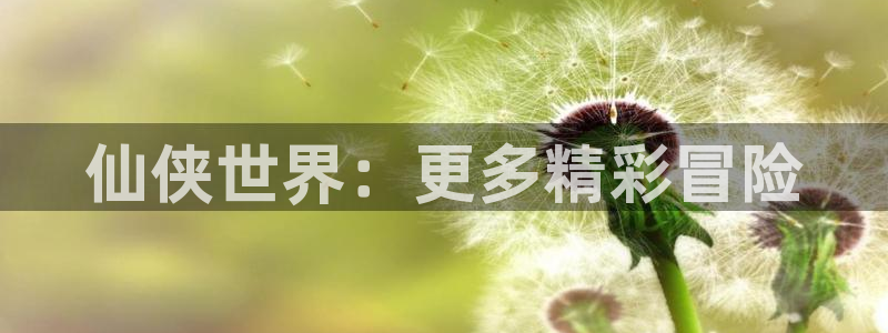  完美电竞平台怎么换头像：仙侠世界：更多精彩冒险