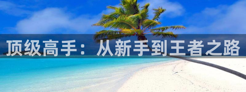 完美电竞会员权益在哪领：顶级高手：从新手到王者之路