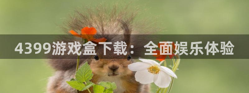  完美电竞app怎么绑定steam：4399游戏盒下载：全面娱