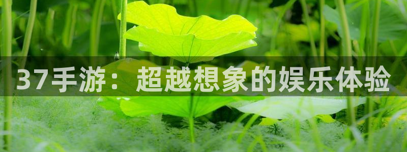 完美电竞app怎么删除评论：37手游：超越想象的娱乐体验