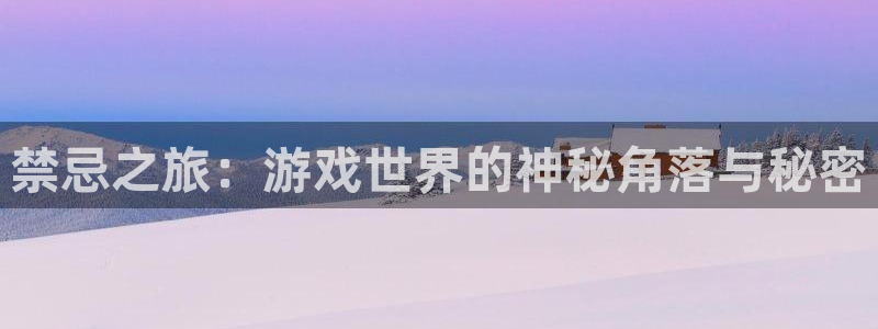  完美电竞老板：禁忌之旅：游戏世界的神秘角落与秘密