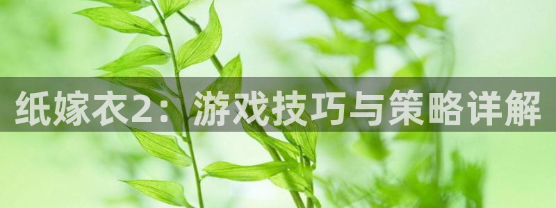 完美电竞app集市官网：纸嫁衣2：游戏技巧与策略详解
