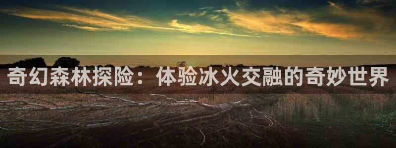 完美电竞平台浏览记录怎么看：奇幻森林探险：体验冰火交融的奇妙