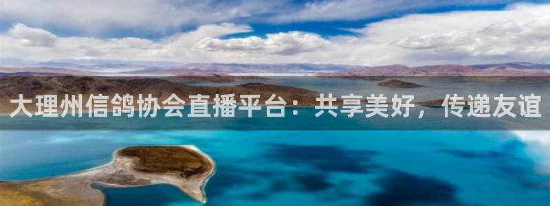 说球帝在线直播免费观看直播：大理州信鸽协会直播平台：共享美好，传递友谊