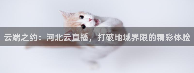 说球帝直播在线免费观看：云端之约：河北云直播，打破地域界限的精彩体验