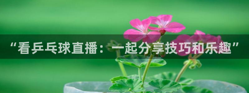 nba直播说球帝在线观看免费：“看乒乓球直播：一起分享技巧和乐趣”