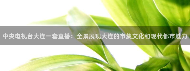 说球帝直播nba免费观看：中央电视台大连一套直播：全景展现大连的市集文化和现代都市魅力