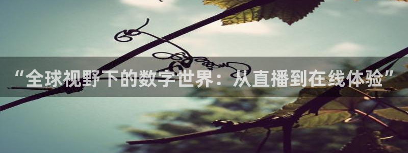说球帝nba直播视频在线直播：“全球视野下的数字世界：从直播到在线体验”