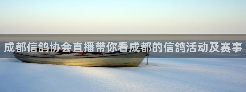 说球帝在线直播：成都信鸽协会直播带你看成都的信鸽活动及赛事