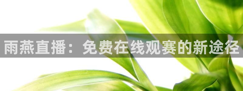 说球帝nba直播视频在线直播：雨燕直播：免费在线观赛的新途径